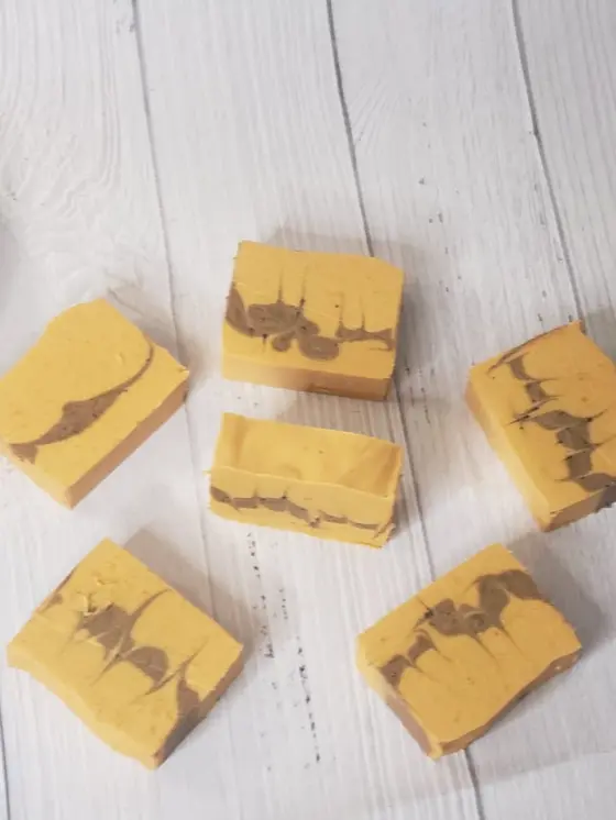 Pumpkin-Woodsy Vegan Soap Handmade Soap